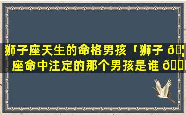 狮子座天生的命格男孩「狮子 🦍 座命中注定的那个男孩是谁 🐋 」